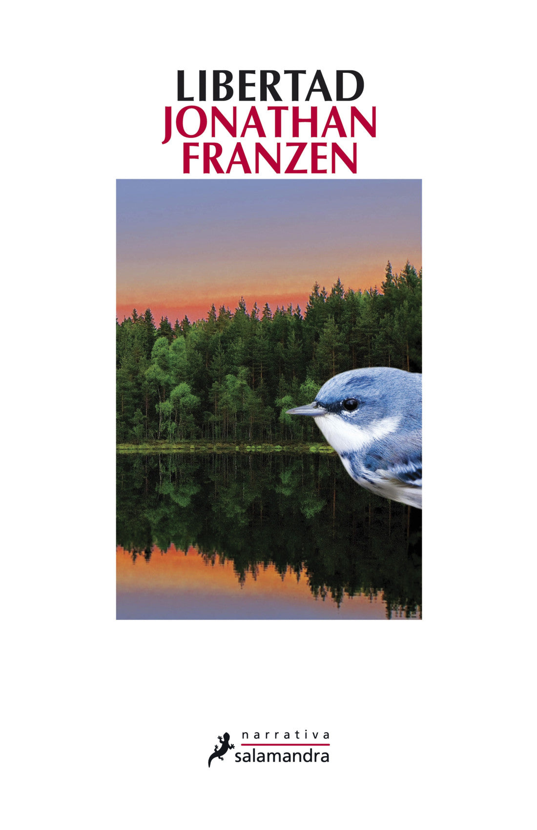 Libertad – Jonathan Franzen